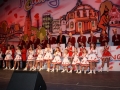 alenfest 2012 11