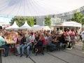 europaparty2014_003