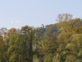 herrentout2011 12 640x360