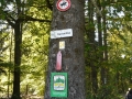 herrentout2011 24 640x360