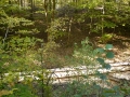 herrentout2011 27 640x360