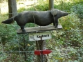herrentout2011 29 640x360