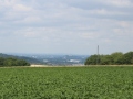2019-KG-Wandertag-009